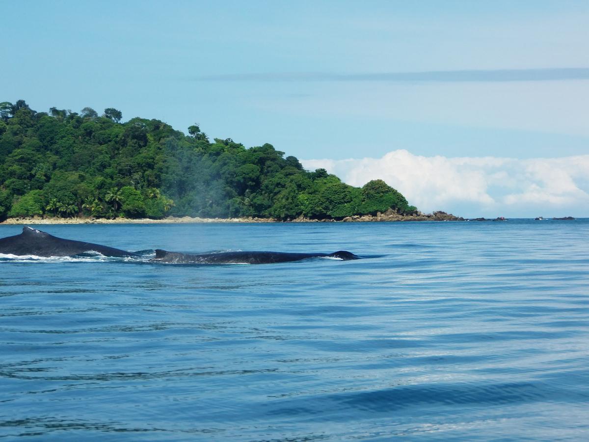 Cabanas Refugio Salomon นูกี ภายนอก รูปภาพ