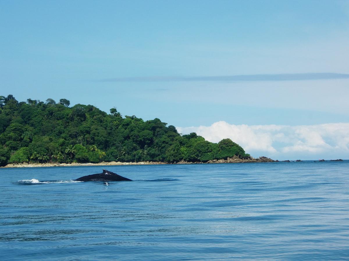 Cabanas Refugio Salomon นูกี ภายนอก รูปภาพ