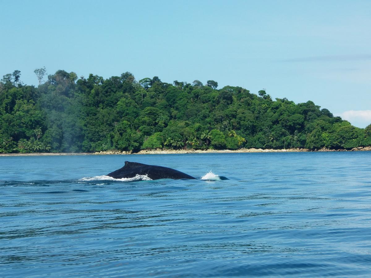 Cabanas Refugio Salomon นูกี ภายนอก รูปภาพ