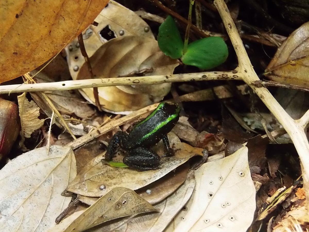 Cabanas Refugio Salomon นูกี ภายนอก รูปภาพ